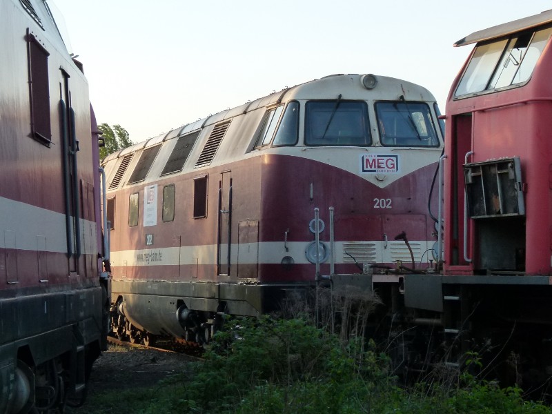 MEG 202 - 228 504-7.jpg